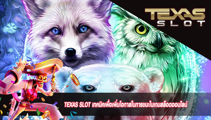 TEXAS SLOT เทคนิคเพื่อเพิ่มโอกาสในการชนะในเกมสล็อตออนไลน์